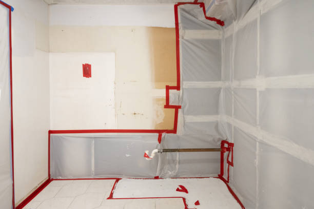 Best HVAC Mold Inspection and Cleaning  in Miami, AZ