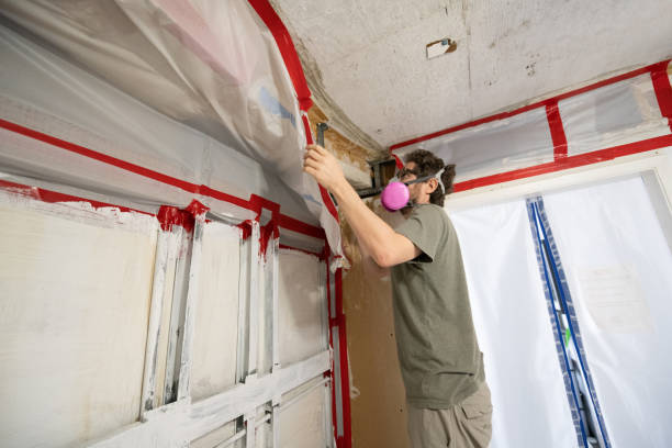 Trusted Miami, AZ Mold Removal Experts