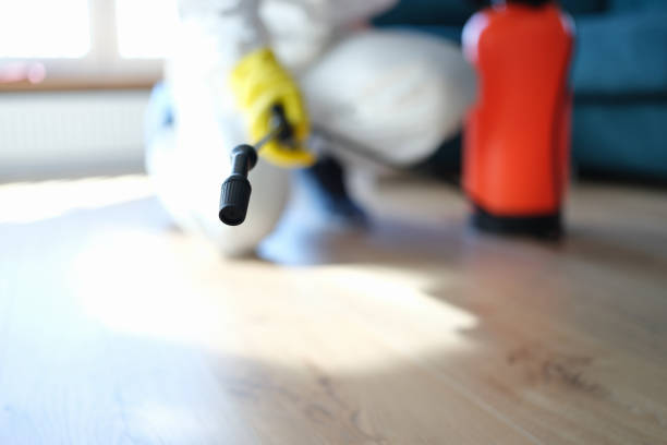 Best Air Quality Testing for Mold Spores  in Miami, AZ