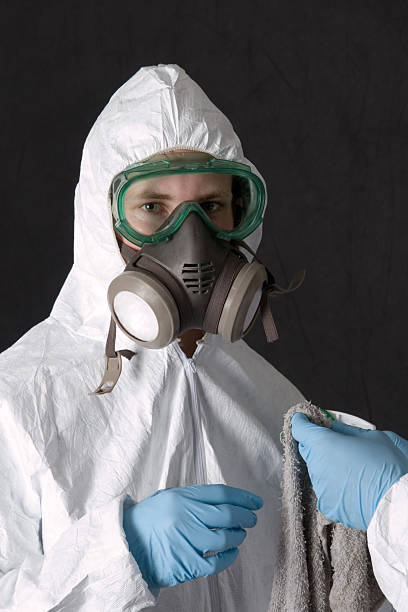 Best Real Estate Mold Inspection  in Miami, AZ